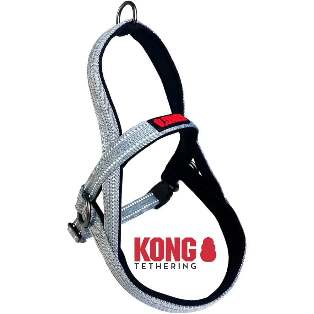 Kong arnes g