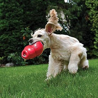 perrito jugando con kong gde