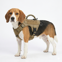 Arnés de entrenamiento ajustable para perros con forro interior transpirable y hebillas de liberación rápida