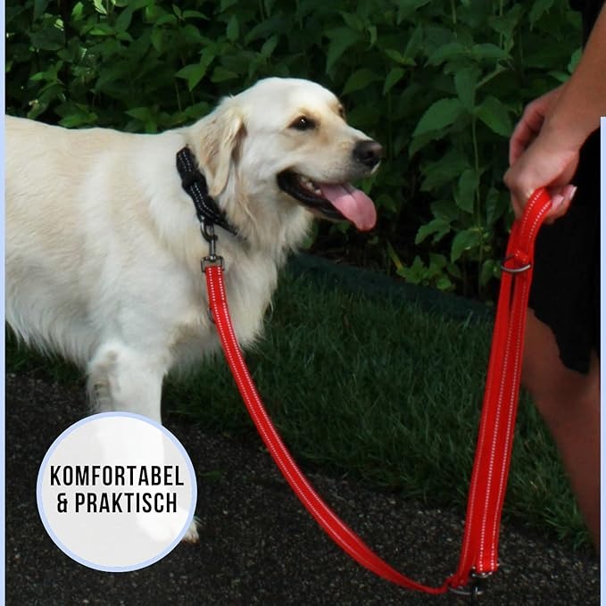 kong correa ajustable ejemplo