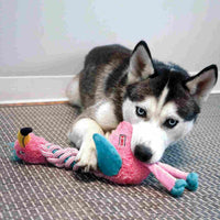 Momento de juego de un Husky con su peluche de cuerda KONG