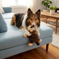Perro disfrutando de su juguete de peluche KONG Cozie en la sala de estar