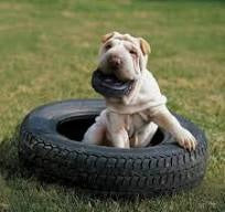 Kong Tires Chica- Llanta Extreme