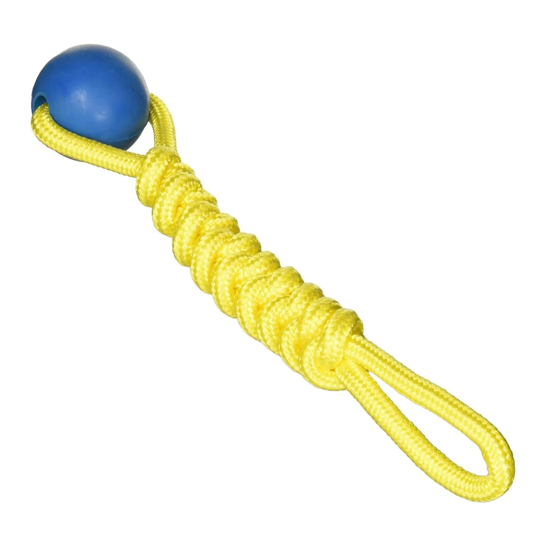 Juguete para perro ProPets compuesto por una pelota de goma azul resistente unida a una cuerda amarilla trenzada para juegos de tirón