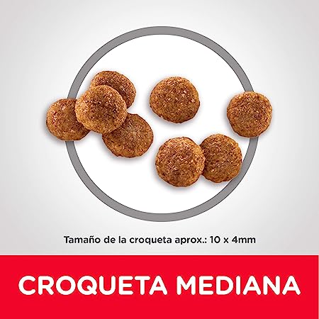 Hill's Science Diet, Alimento para Perro Puppy (Cachorro) Receta Original, Seco (bulto) 2kg