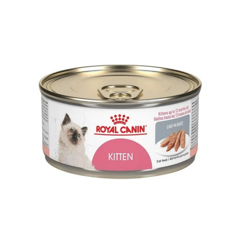 LATA KITTEN INSTINCT WET LOAF KITTEN 41011 145 G