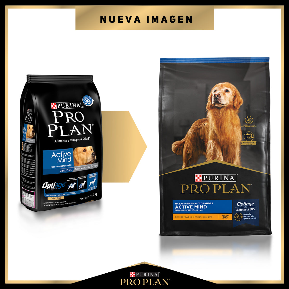 Pro Plan Senior Active Mind Razas Medianas y Grandes