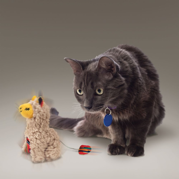 Kong Llama Softies Con Zumbido Y Catnip Csf53