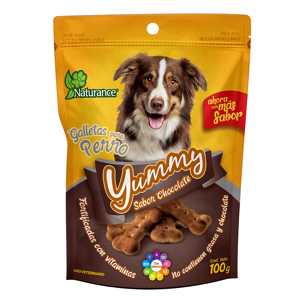 YUMMY SABOR CHOCOLATE 100 G FL3841