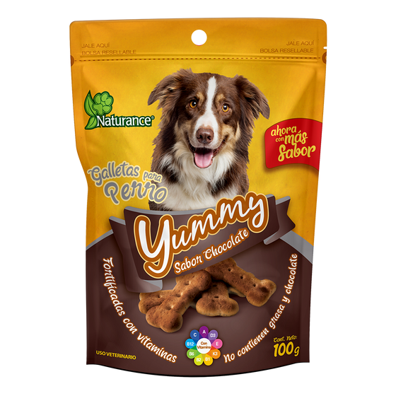 YUMMY SABOR CHOCOLATE 100 G FL3841