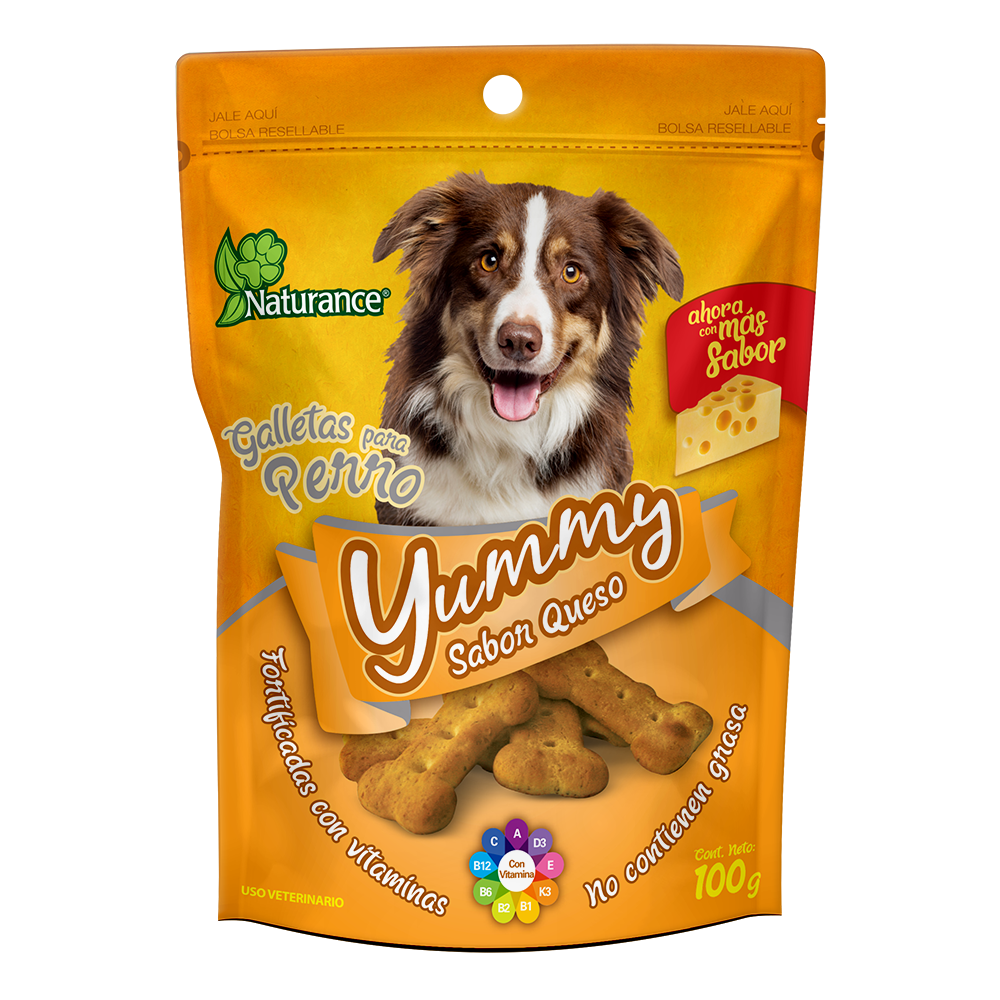 YUMMY SABOR QUESO 100 G FL3846