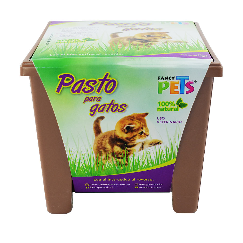 PASTO P/GATOS FL3916