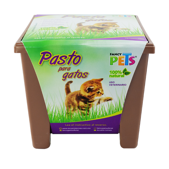 PASTO P/GATOS FL3916