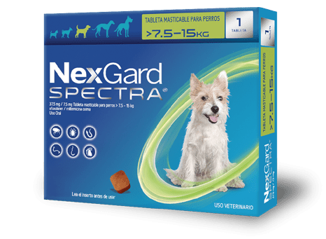 Nexgard Spectra Mediano (7.6-15 kg) (1 masticable)