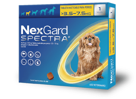 Nexgard Spectra Chico (3.6-7.5 kg) (1 masticable)