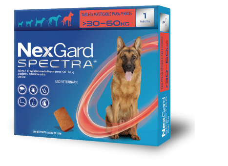 Nexgard Spectra Ex-Grande (30.1-60 kg) (1 masticable)