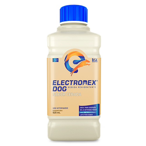 ElectroDex Dog Sabor Cebada 625 mL ( Bebida Rehidratante - Electrolitos)