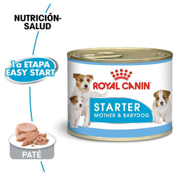 Royal Canin Starter Mousse Lata 145gr - Alimento Húmedo Perras Gestantes y Cachorros