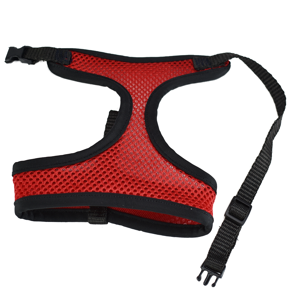 ARNES CH DE MALLA TX40712