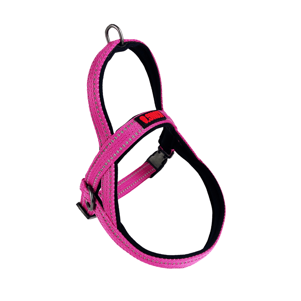 KONG CC Arnes Noruego Rosa G K-N5433