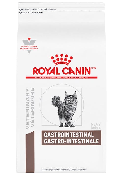 ALIM ROY GATO GASTRO INT HE 4kg 484088