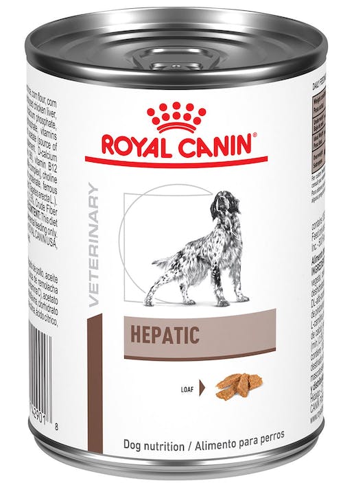 LATA HEPATIC CANINO