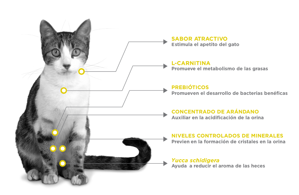 Nupec Felino Urinary Management 1.5 Kg Alimento para Gatos con Padecimientos urinarios