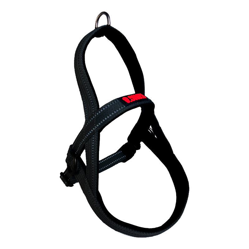 KONG CC Arnes Noruego Negro M K-N5303