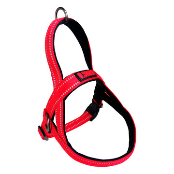 KONG CC Arnes Noruego Rojo M K-N5327