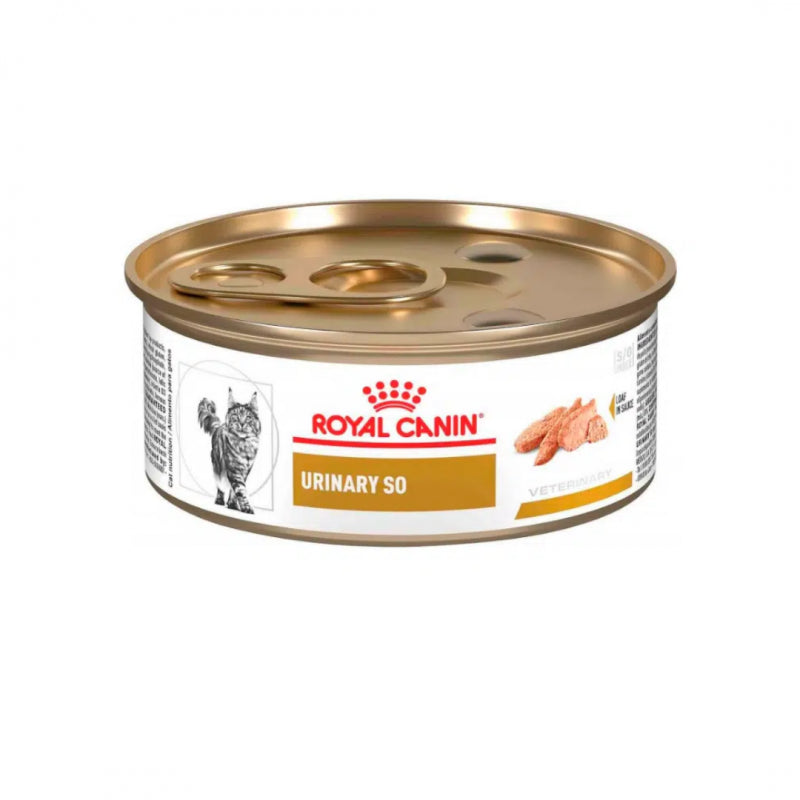 LATA ROY GATO URINARY (URINARY SO FELINE) 165G  44294