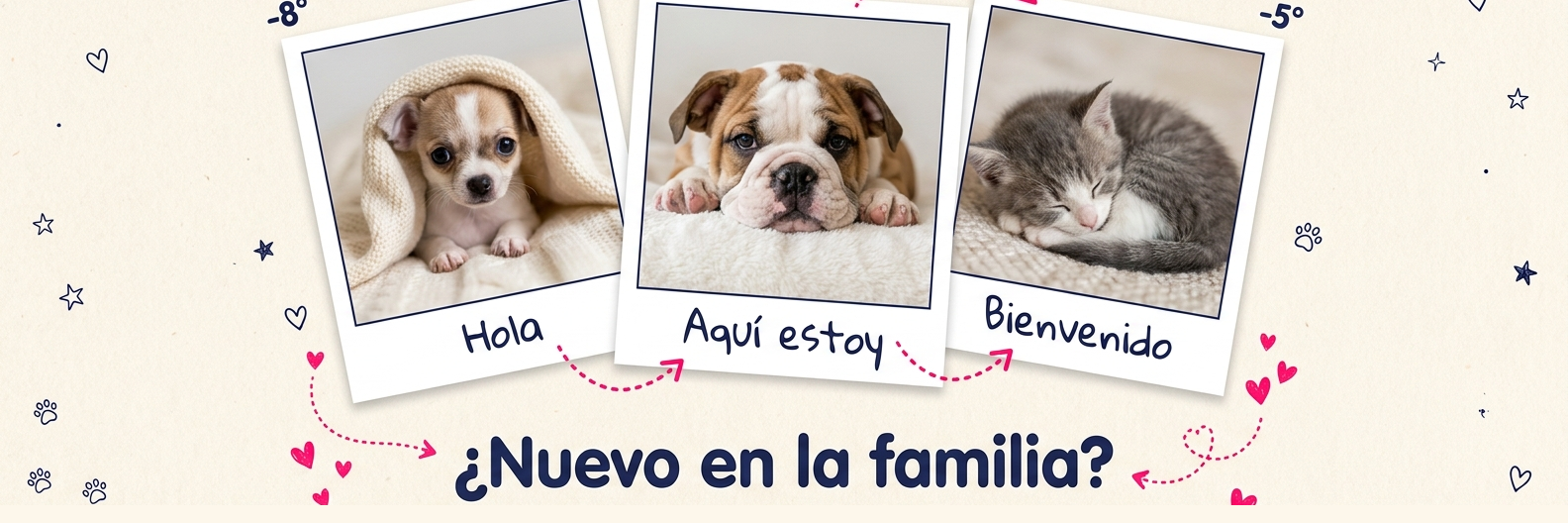 ¿Nuevo en la familia?